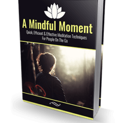 A Mindful Moment ebook