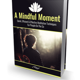 A Mindful Moment ebook