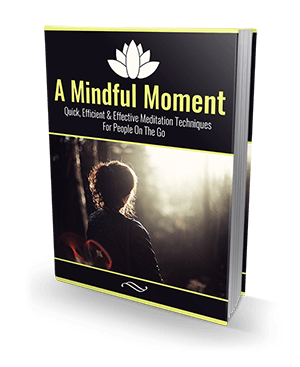 A Mindful Moment ebook